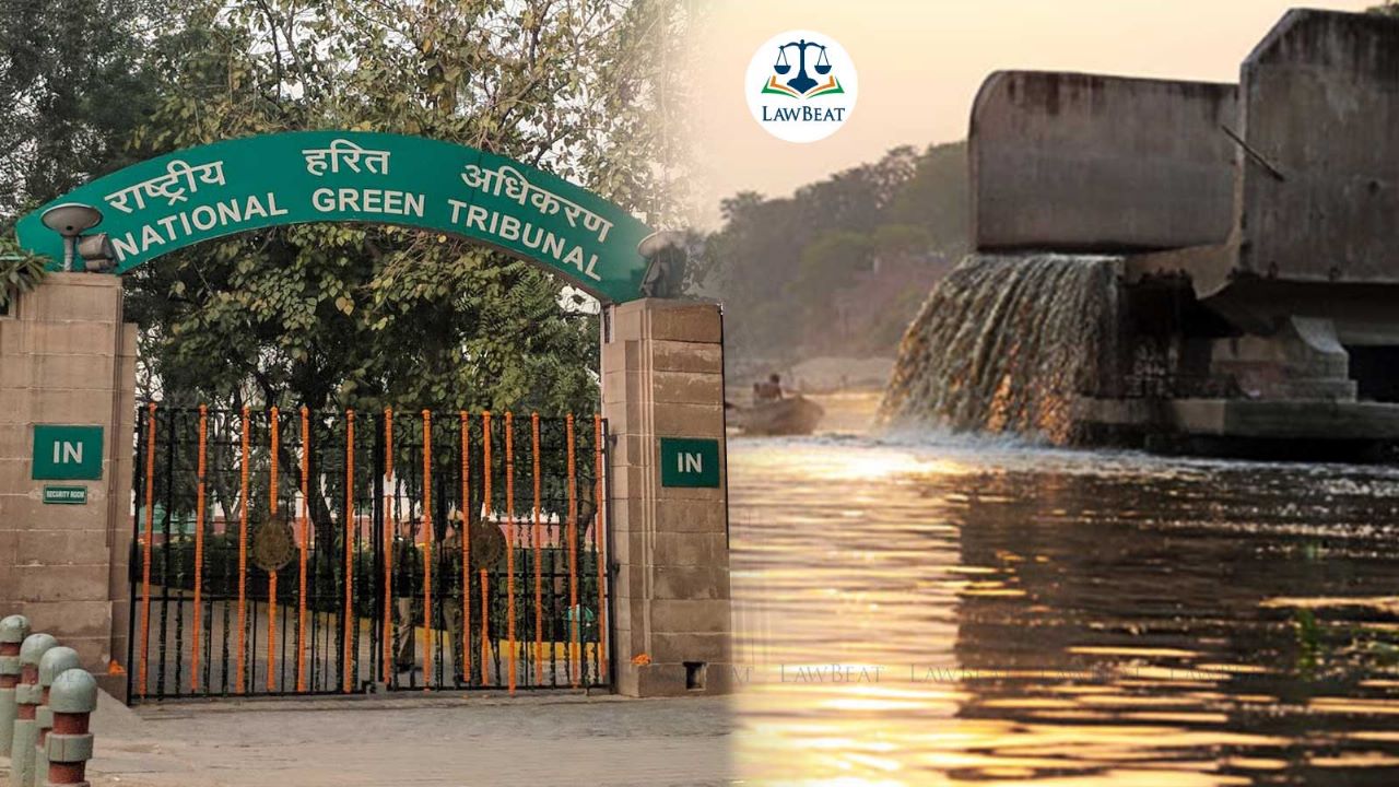 National Green Tribunal Seeks Action Taken Report From UP Govt on Untreated Sewage Discharge in Yamuna at Mathura-Vrindavan National Green Tribunal Seeks Action Taken Report From UP Govt on Untreated Sewage Discharge in Yamuna at Mathura-Vrindavan